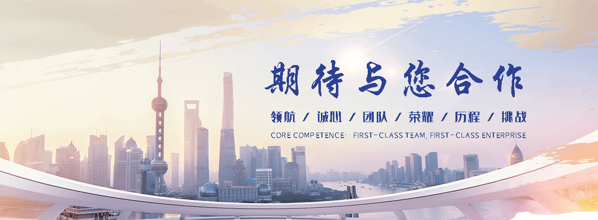 拜泉海狮租赁公司